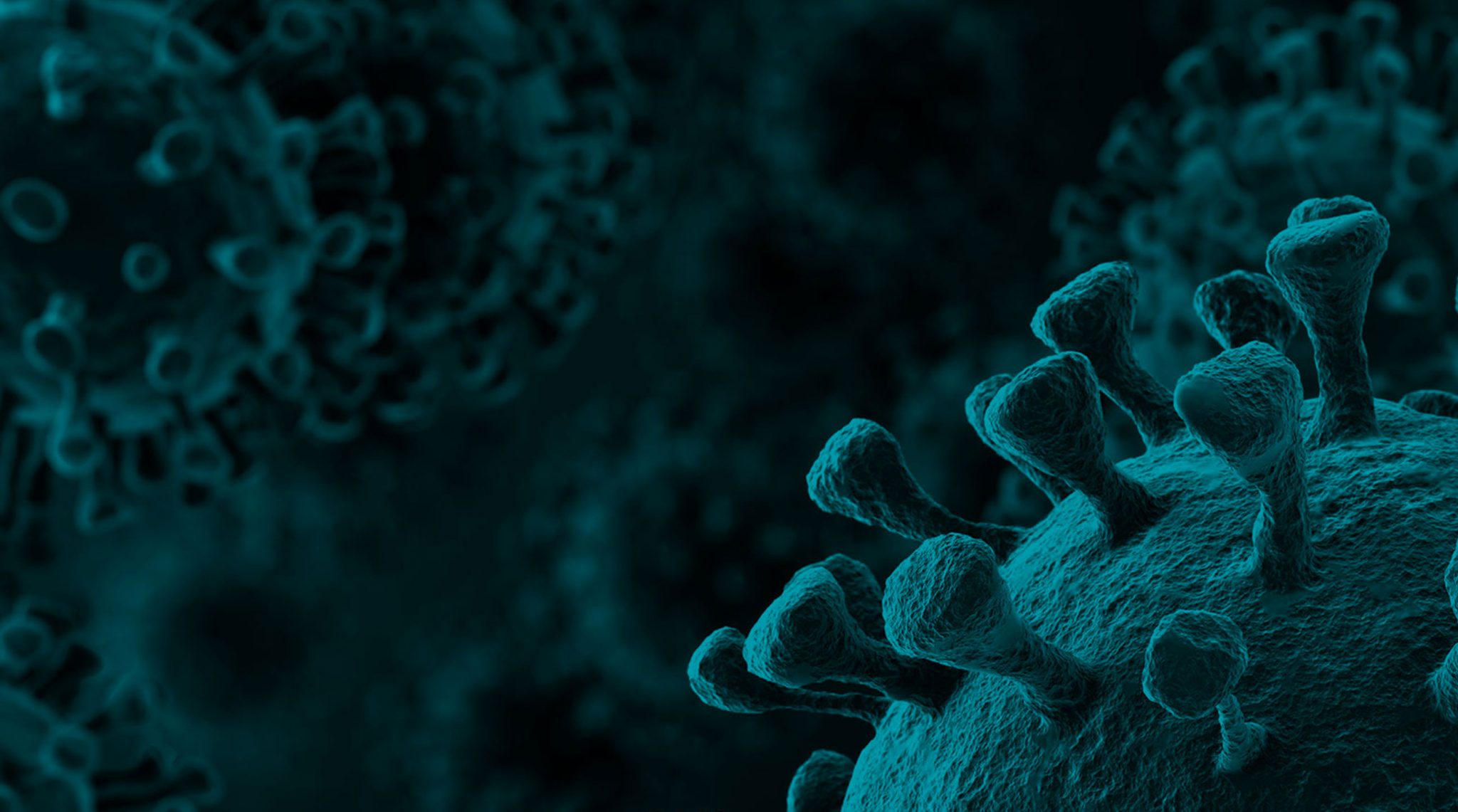 covid-header-2